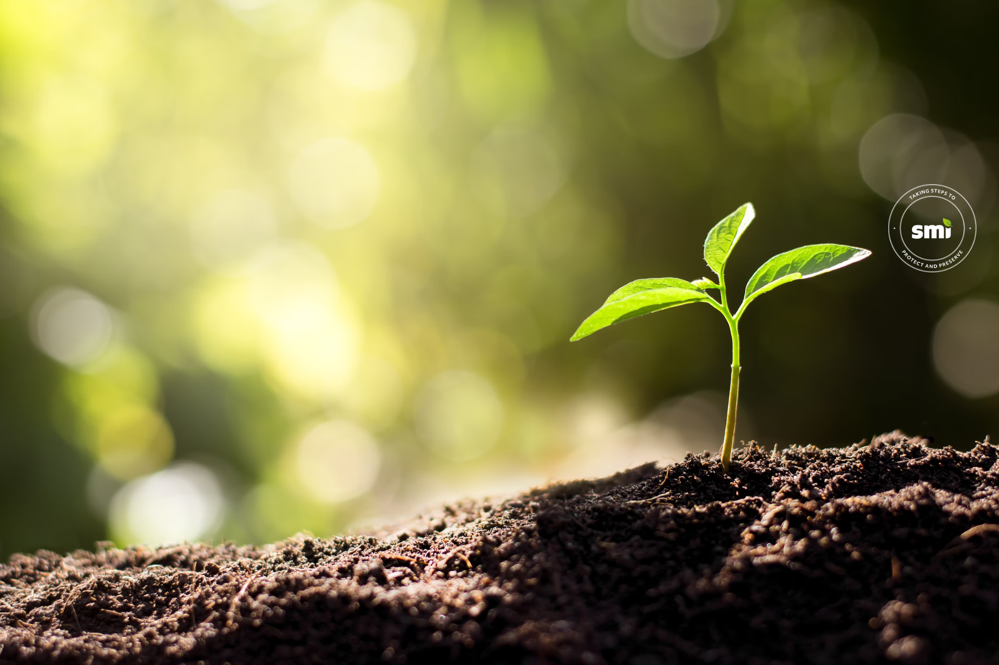 Carbon Neutral Balance