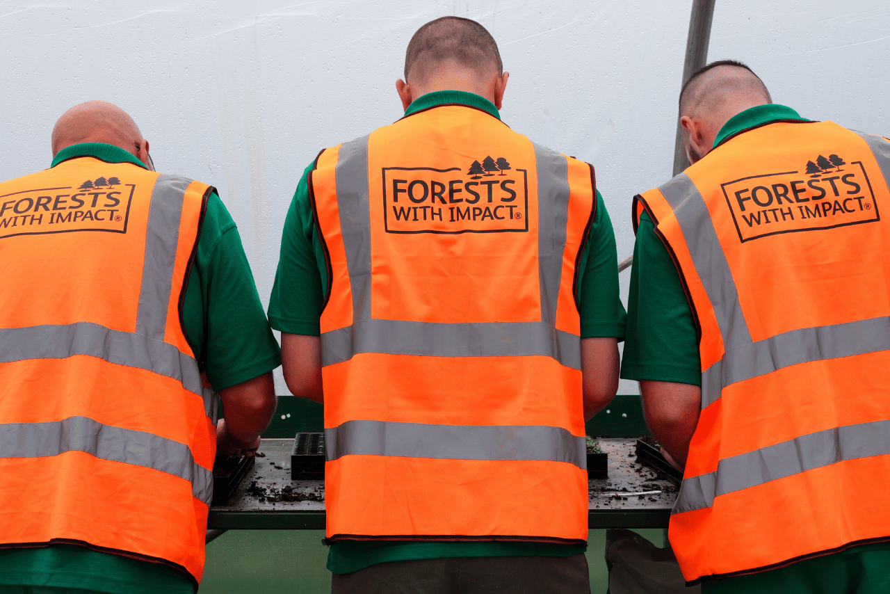 Forests With Impact