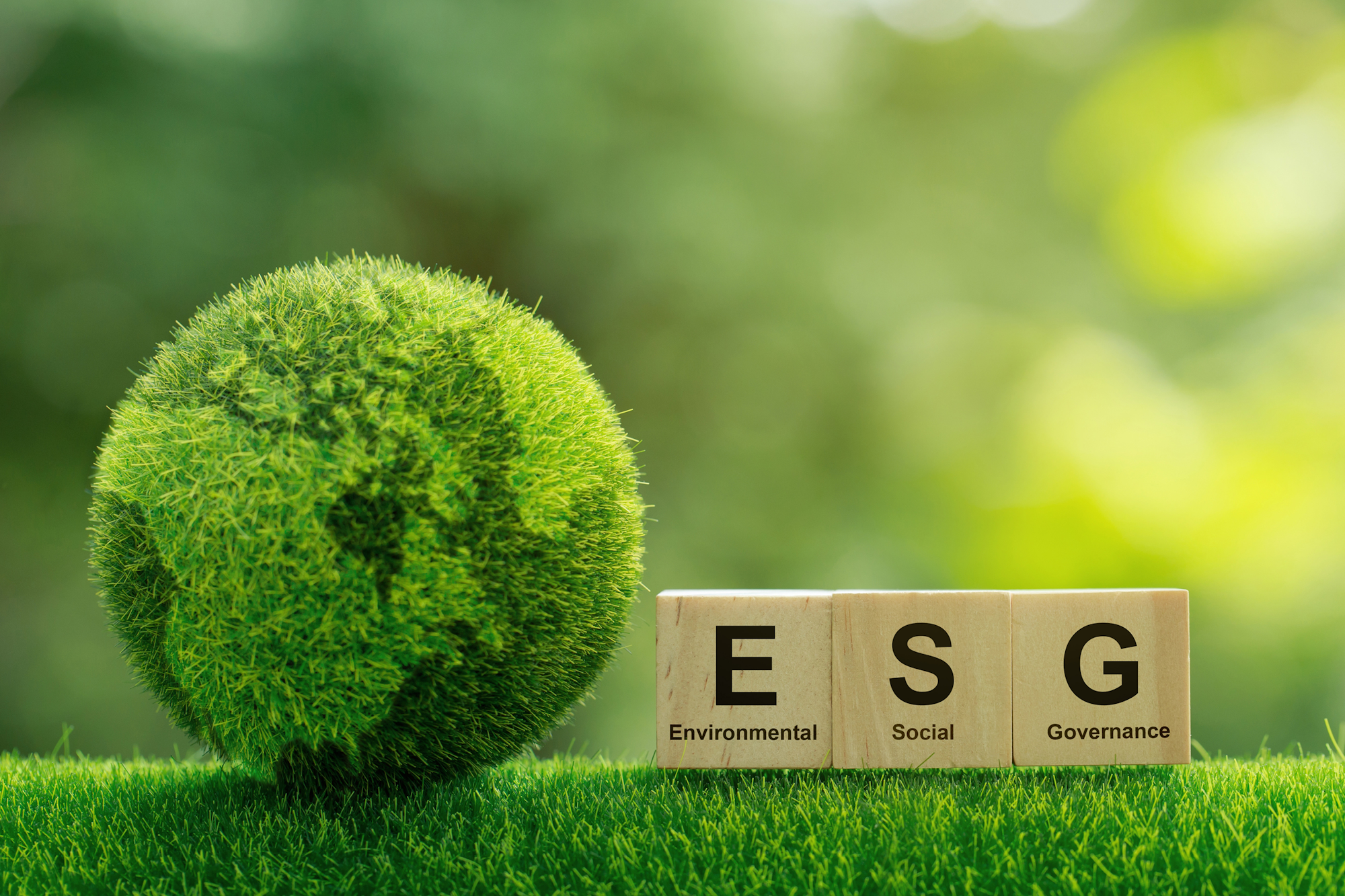 Grass Globe - ESG concept
