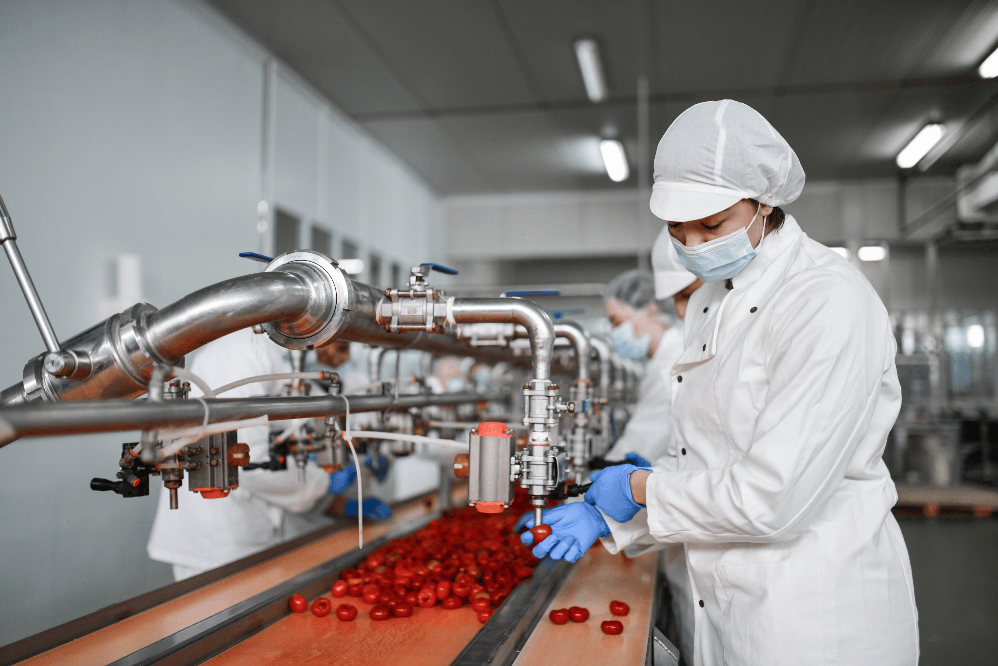 Woman in food preparation safe workwear.