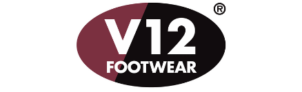 V12 Logo