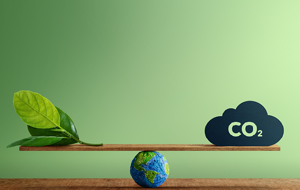Carbon Neutral Balance